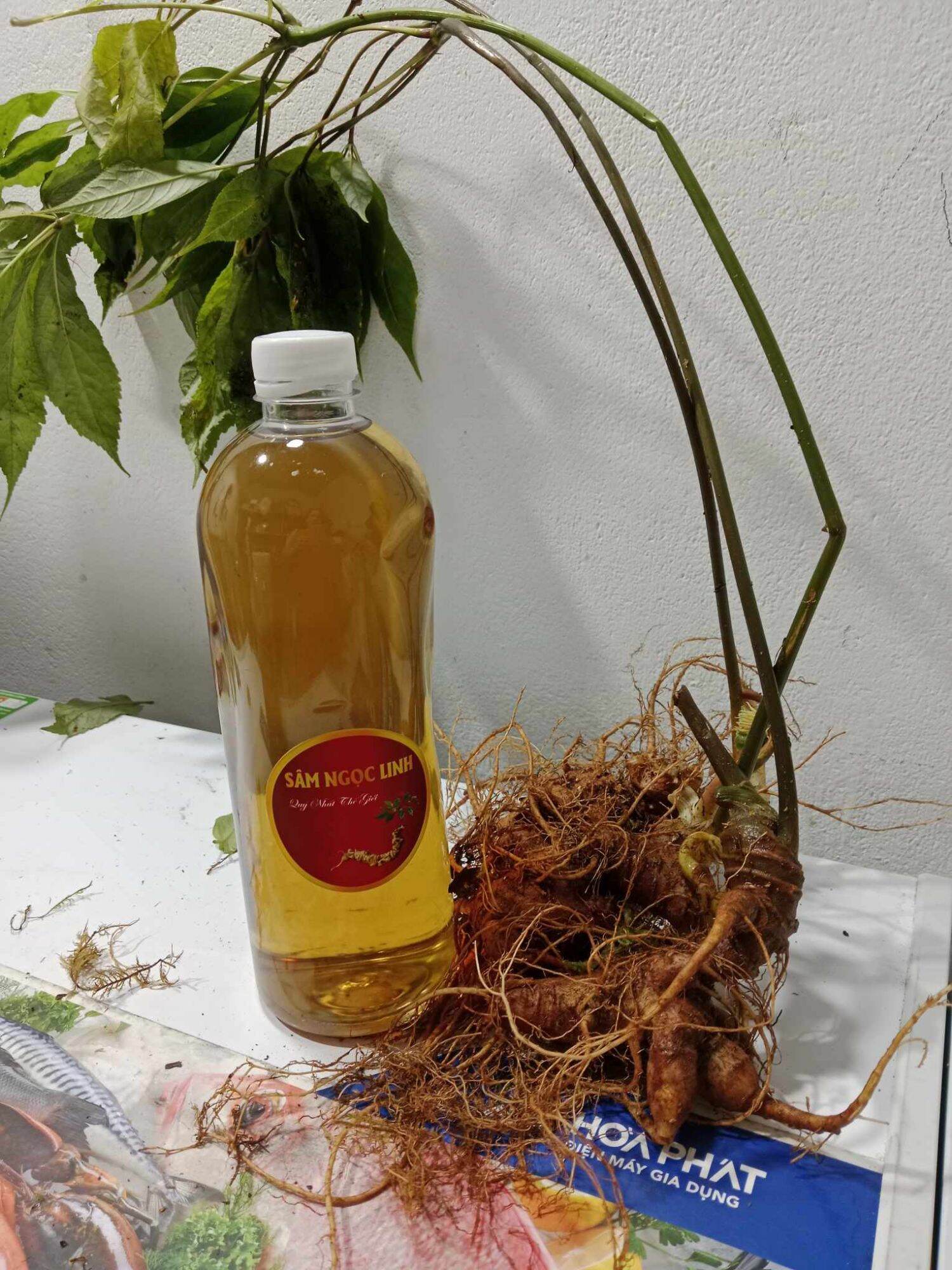1 lít tĩu cốt sâm Ngọc Linh chiết chai uống trãi nghiệm