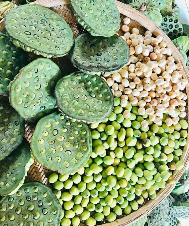 Hạt sen khô Đồng Tháp -