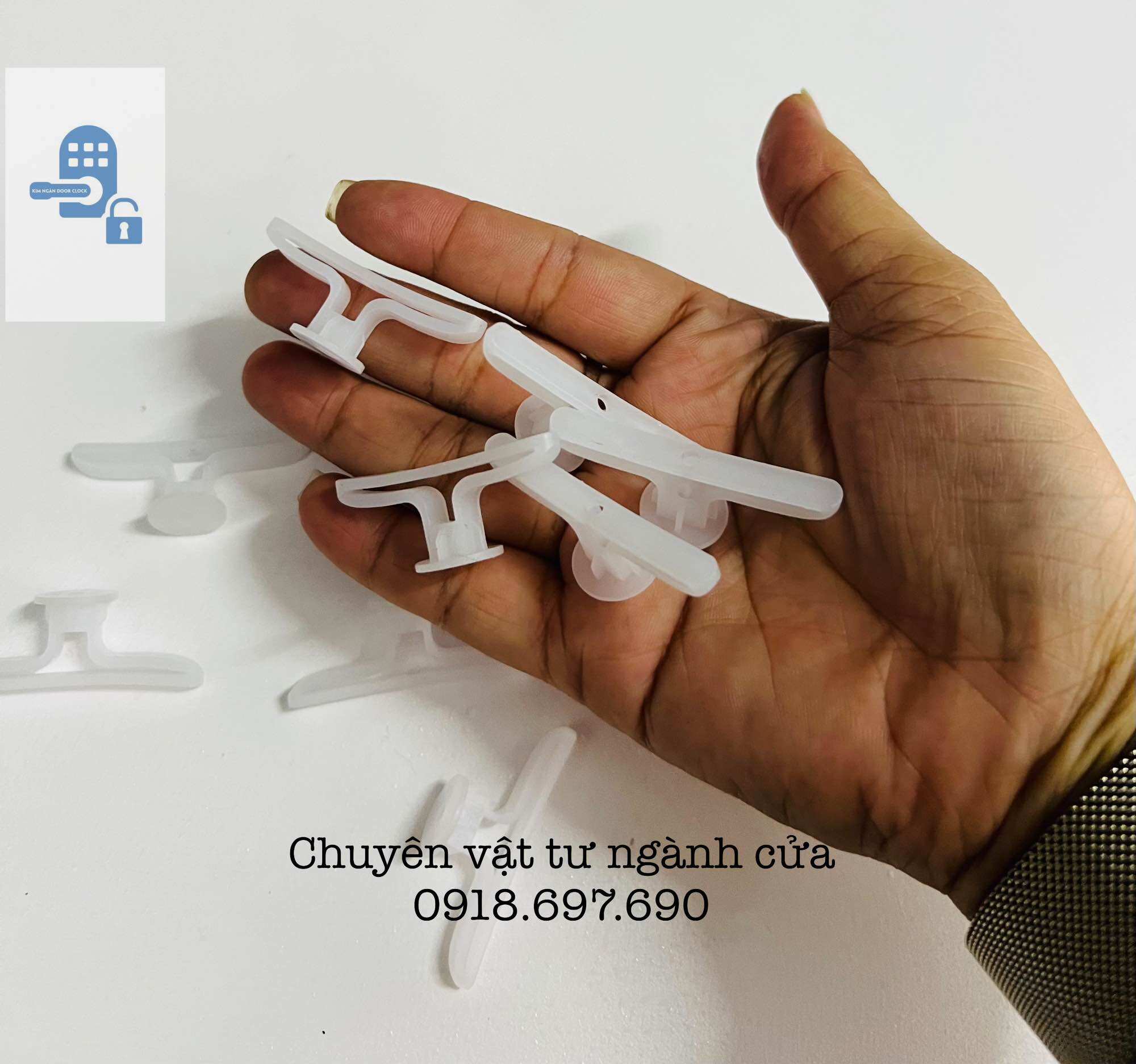 Tắc kê thạch cao - tắc kê bướm
