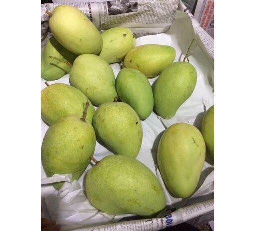 Xoài Tứ Quý 1kg