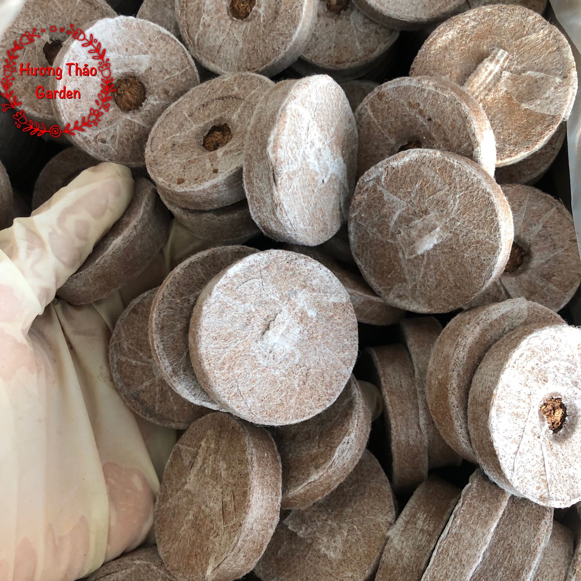 10 Viên Nén Sơ Dừa Ươm Hạt Giống
