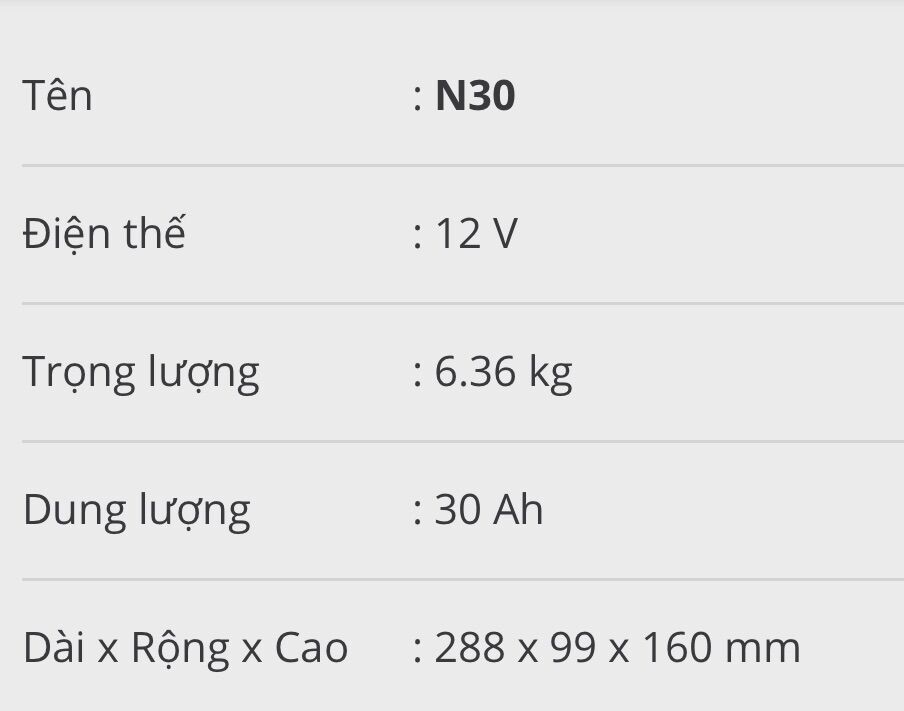 [HCM]Ắc quy N30