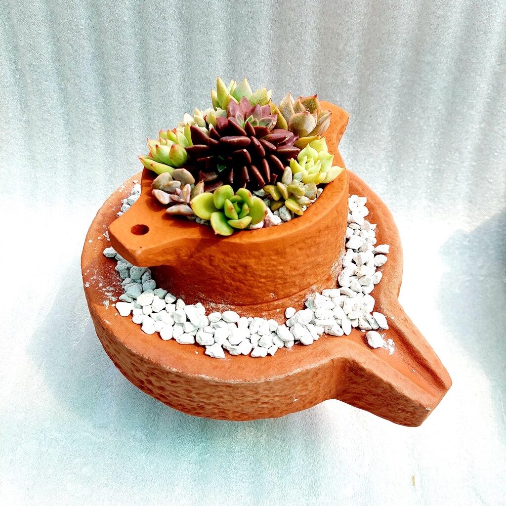 Chậu trồng sen đá hình cối xay