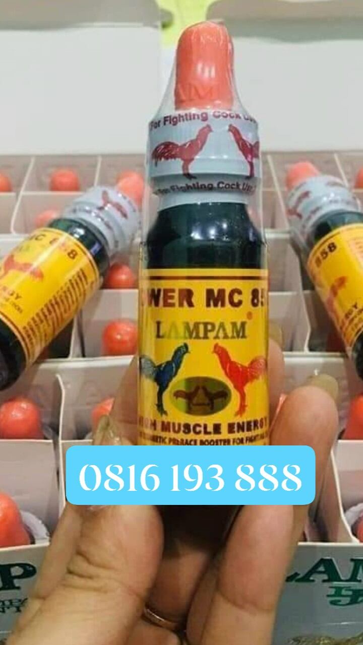 Thuốc gà đá POWER MC 858 thuốc bán chạy nhất thị trường
 
Công dụng: 
Thuốc giúp hỗ trợ gà tăng bo nhanh, tải cựa, cực kỳ lỳ đòn, hạn chế ói tốt, giúp chiến kê của bạn dẻo dai, tăng khả năng quan sát, tung đòn và né đòn chính xác, chiến đấu rất