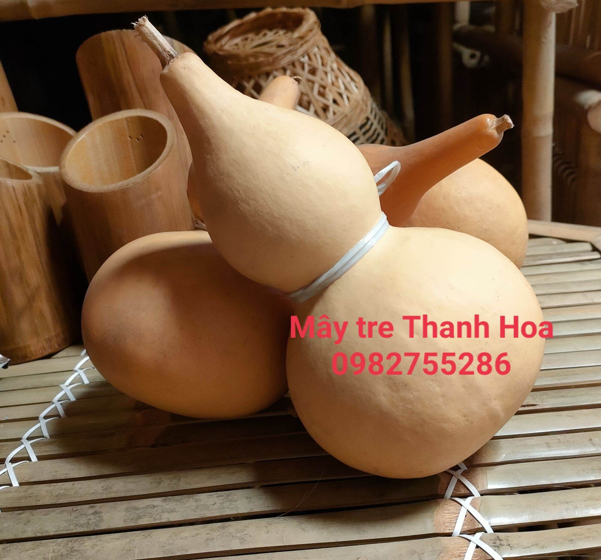bầu hồ lô [20cm]