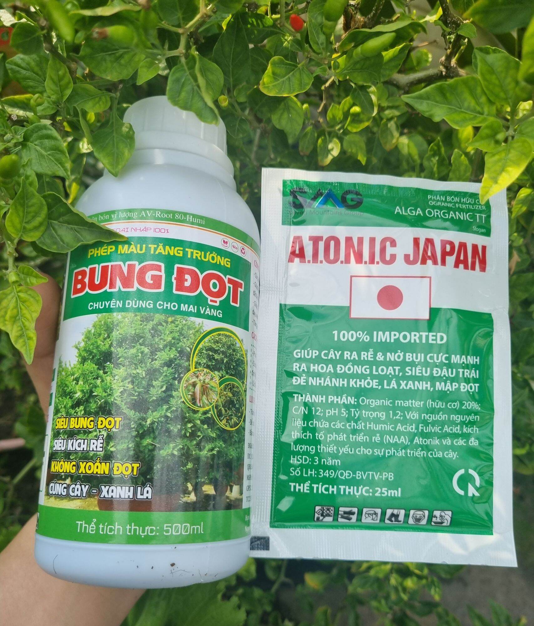 Combo 1 bung đọt + 1 atonic
