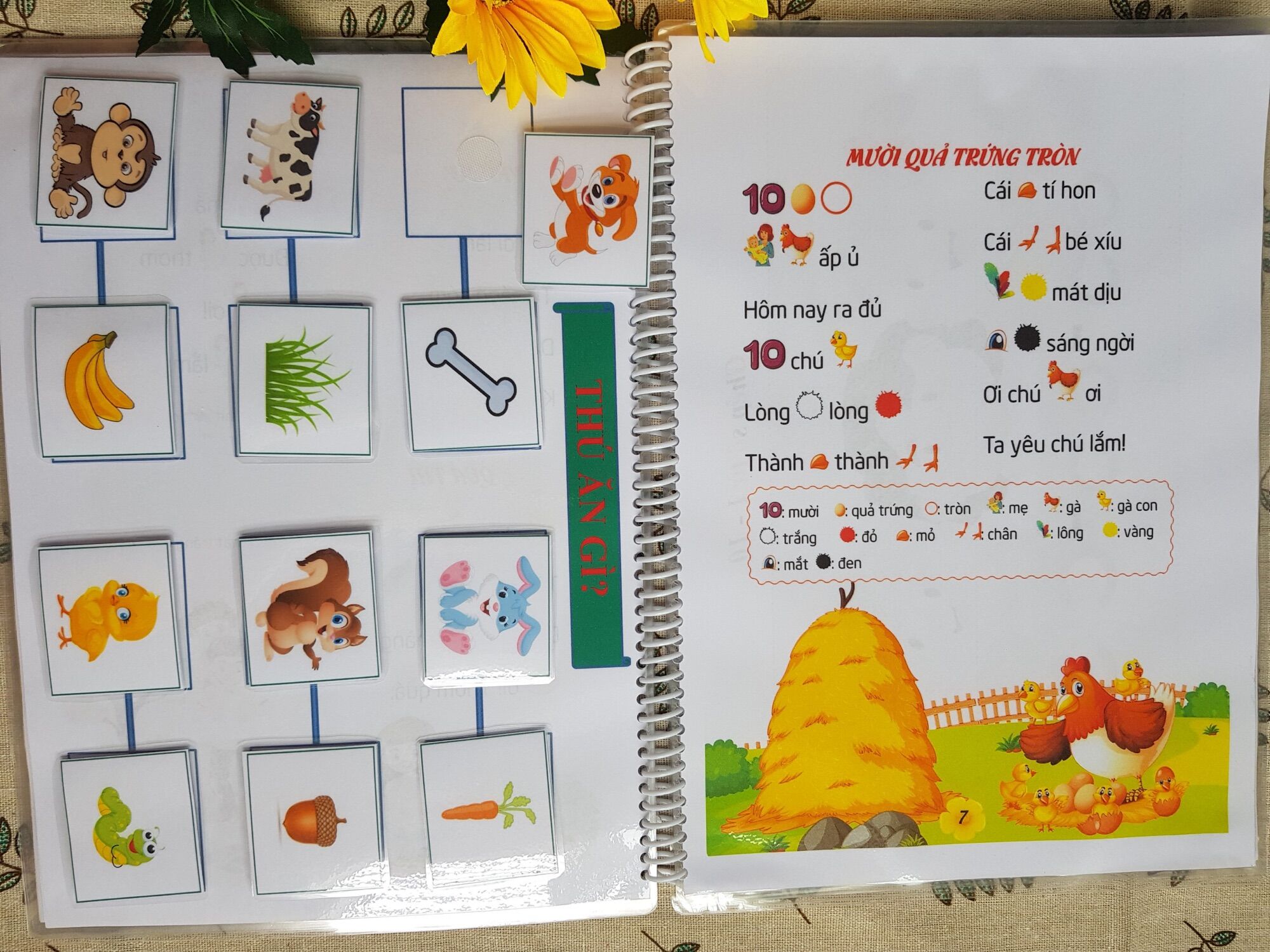 Học liệu bóc dán 2in1