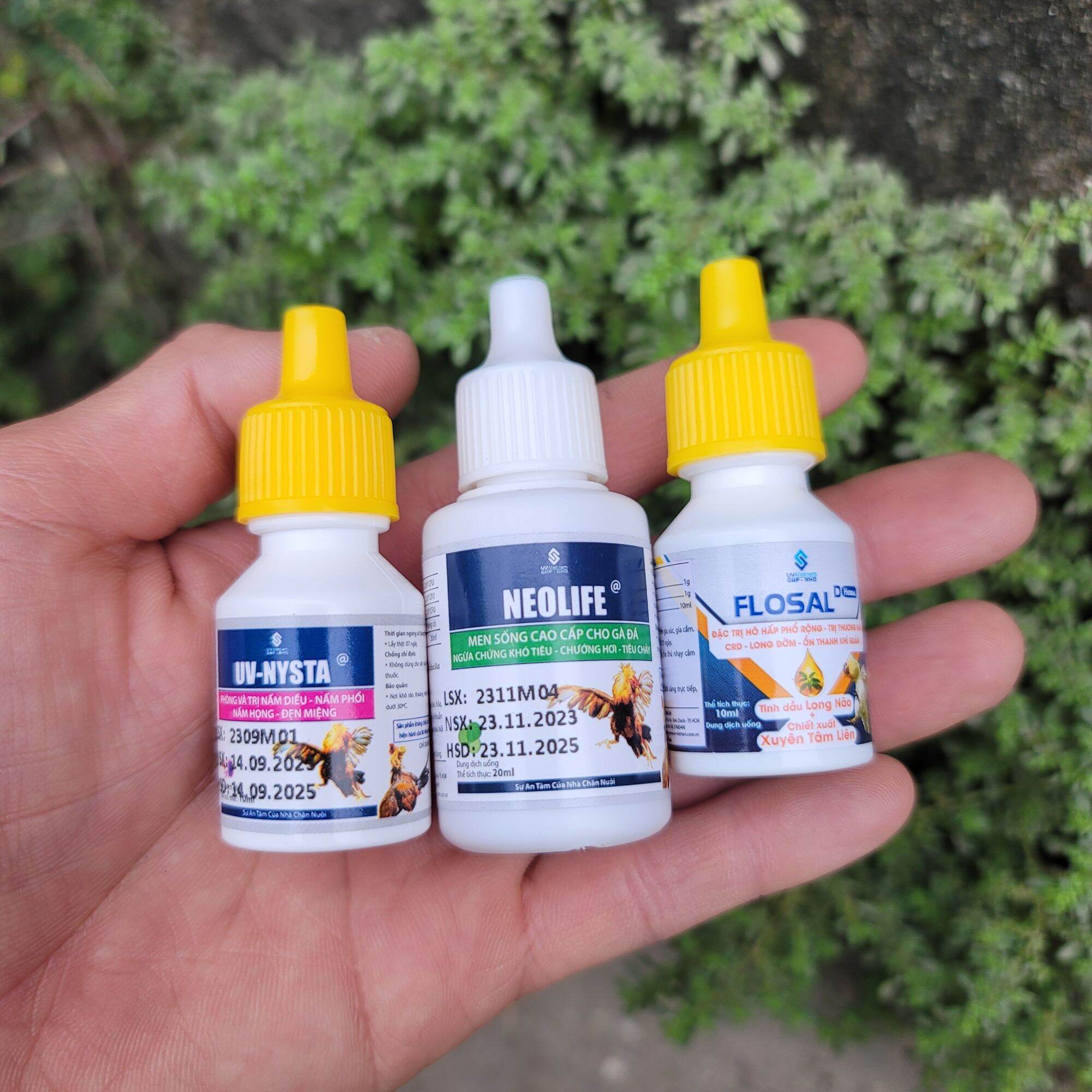 Combo 3 món nysta, neo life, flosal D gà ăn cát uống nước nhiều, nấm ghép tiêu hoá dùng cho gà đá và
