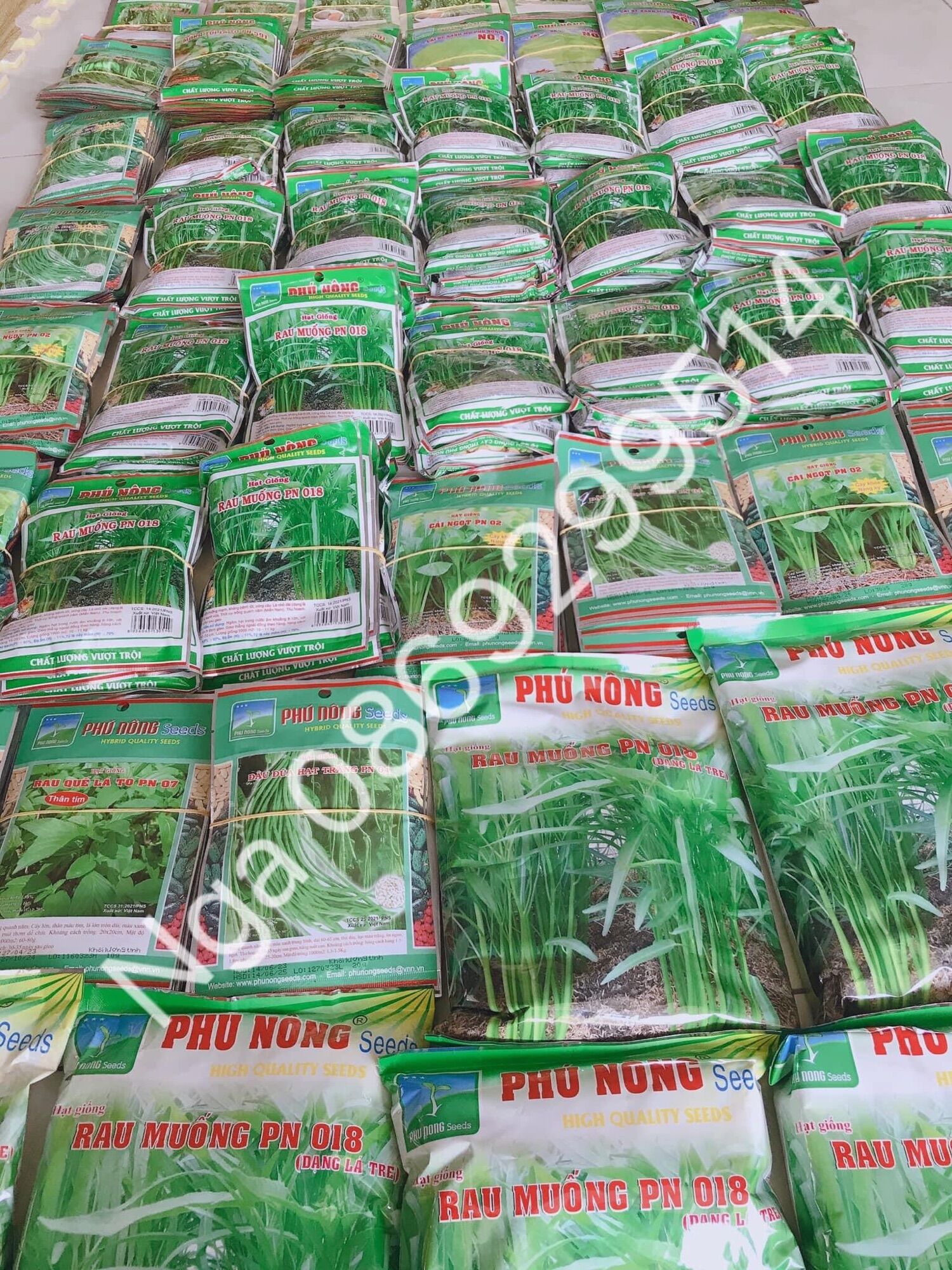 túi 20gram Hạt giống cải mơ trồng quanh năm