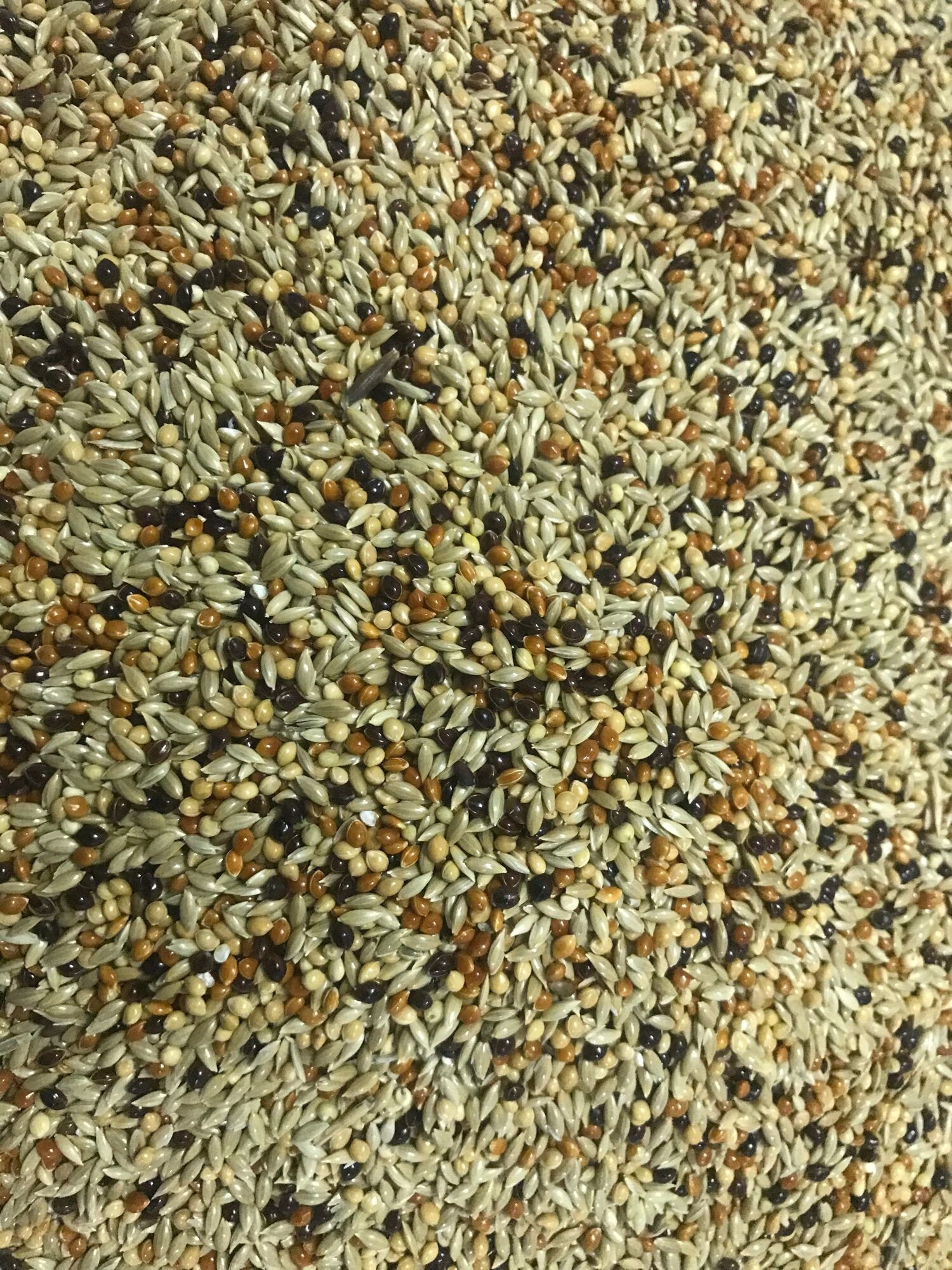 HẠT TRỘN YẾN HÓT…{ Gói 1kg }
