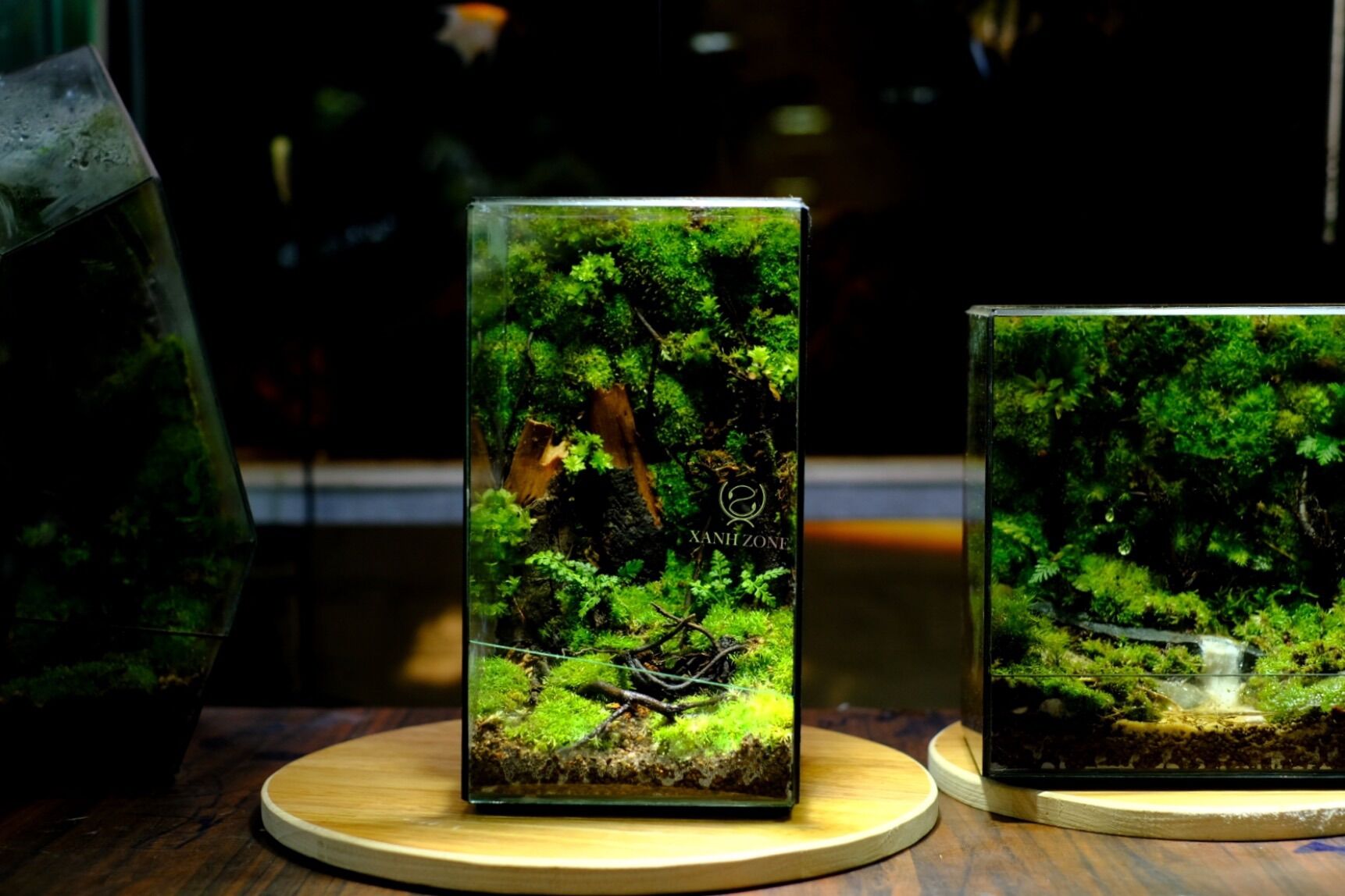 Đèn led rọi bamboo đế gỗ dùng cho bể cá, terarium