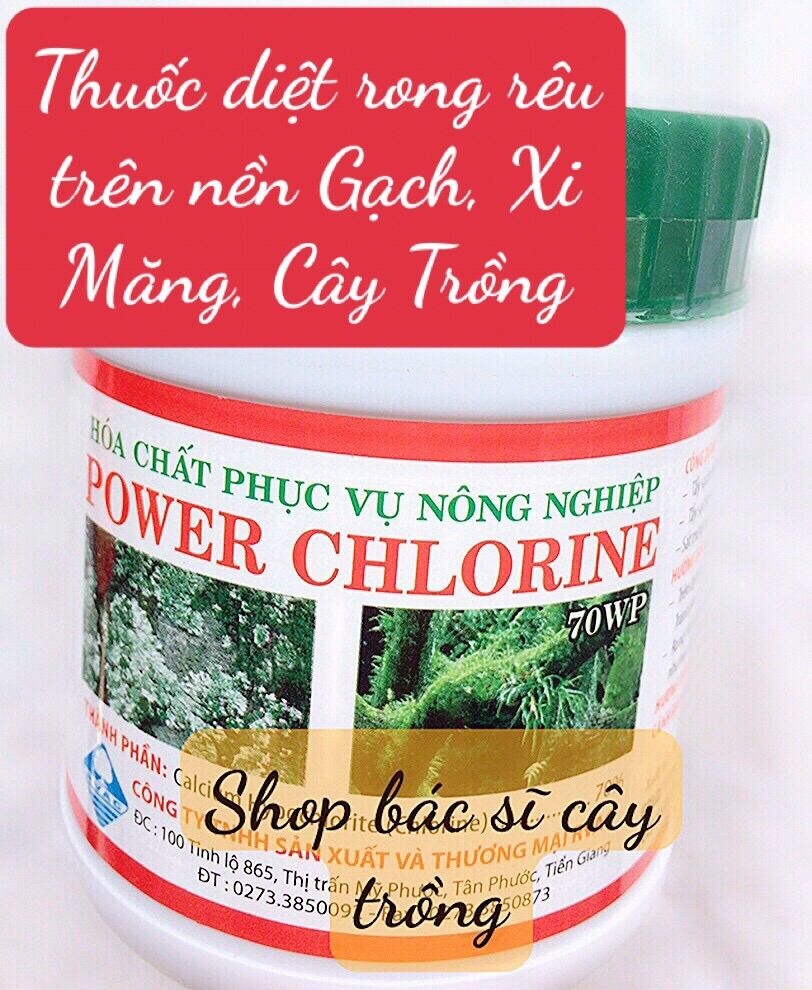 Chất tẩy sạch rong rêu Hàng chính Hãng diệt rong rêu ở sân gạch- tường ...