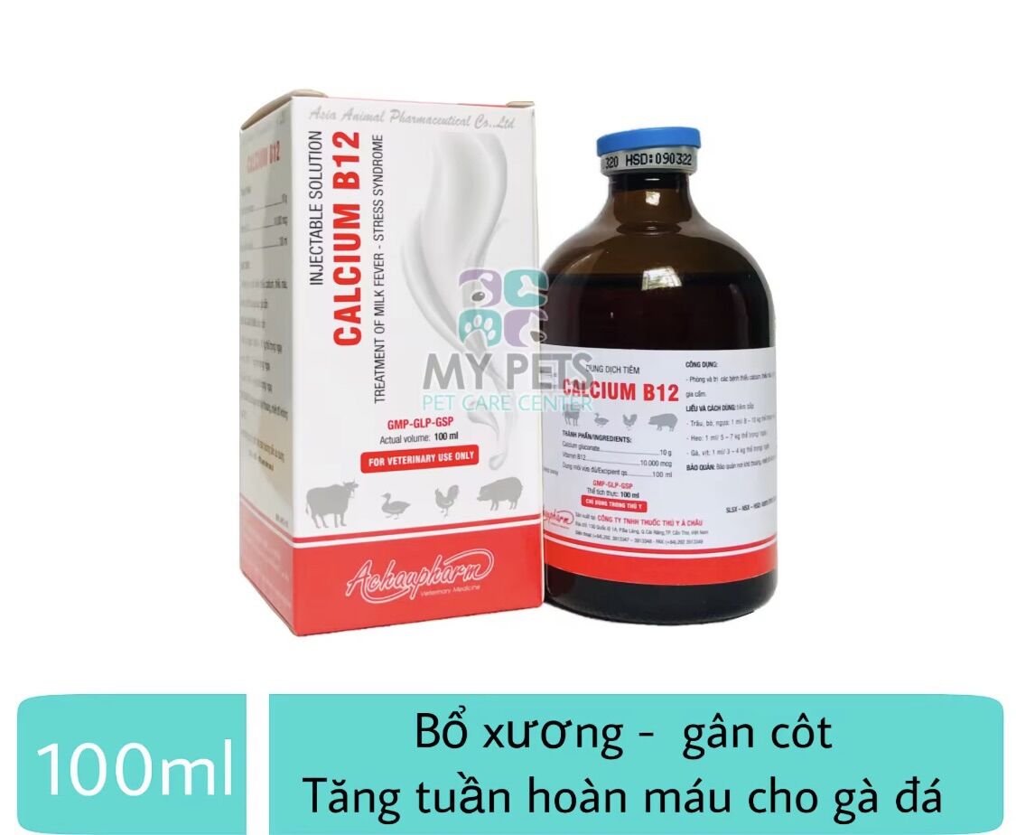 Thuốc calcium b12