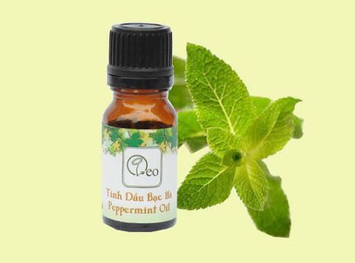 Tinh dầu Bạc Hà  nguyên chất 100% OLEO 10ml - Thơm phòng, Khử mùi, đuổi côn trùng
