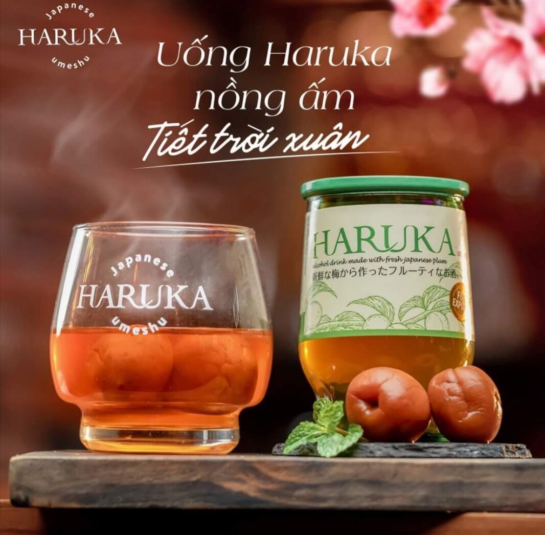 combo 6 Nước Mơ Nhật Bản Haruka 180 ml