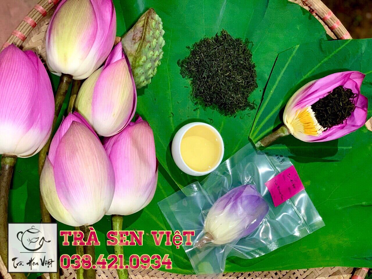 Trà ướp Sen Hồ Tây sấy thăng hoa nguyên bông loại truyền thống 18g/bông