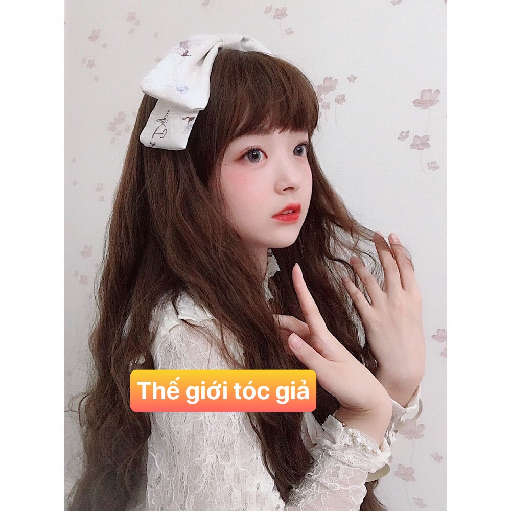 [ TẶNG TRÙM LƯỚI ]  Tóc giả dáng dài mái ngang/ mái ngố S038