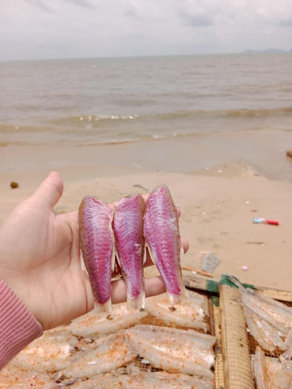 500gr Cá Phèn Hồng 1 nắng - hoả tốc 2h