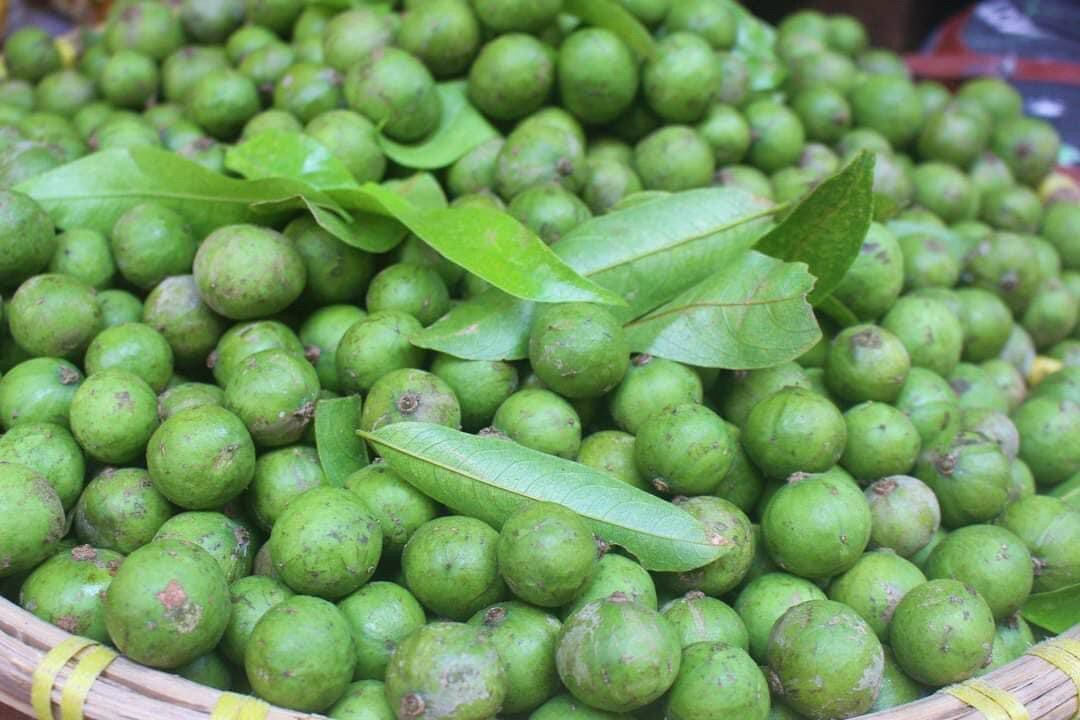 3kg Sấu tươi Hà Nội (còn vỏ)