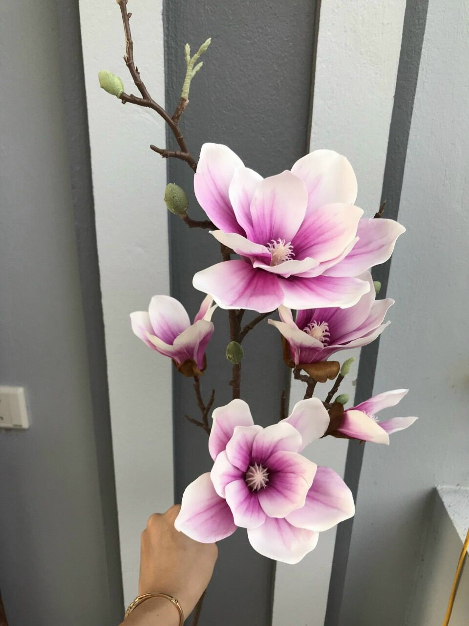 Hoa ngọc lan loại cao cấp sang trọng