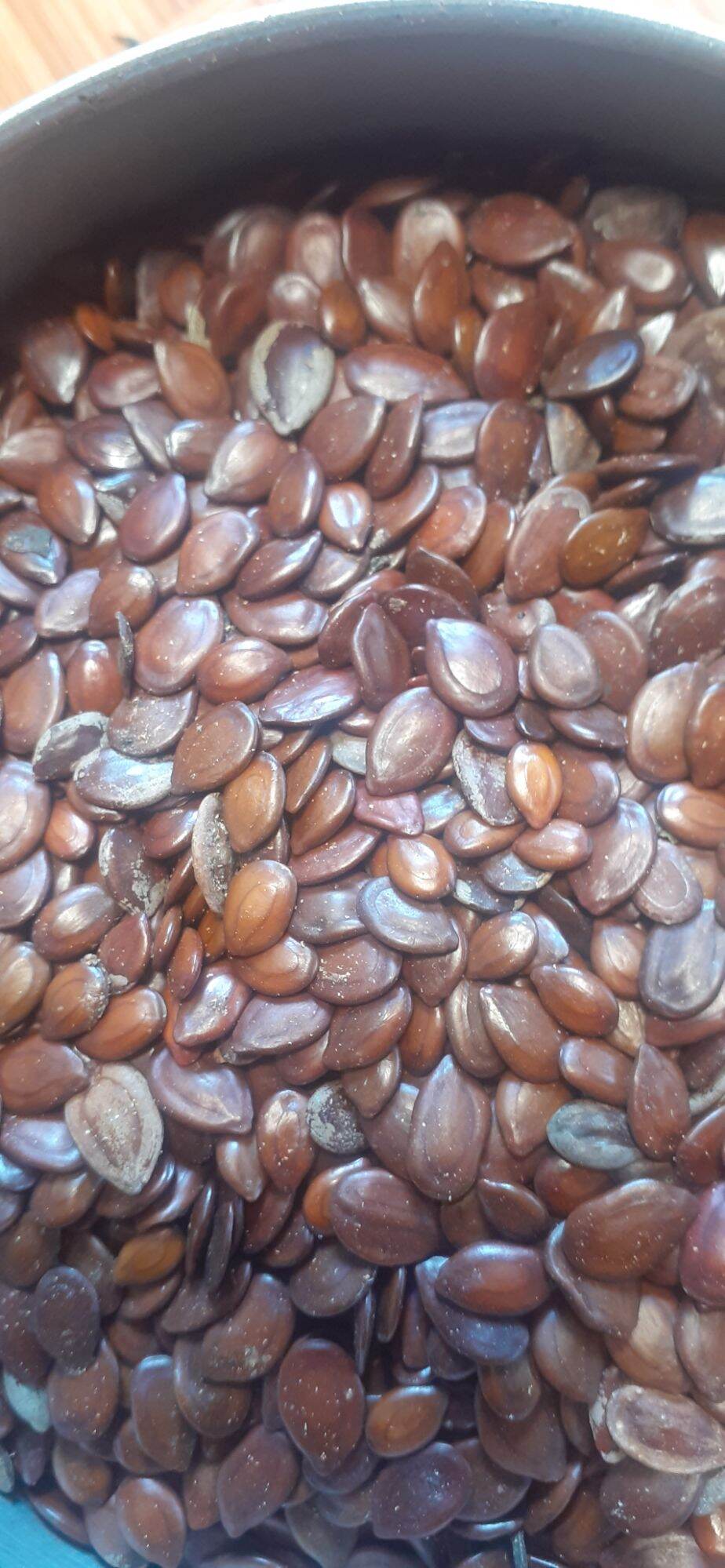 100 gram hạt giống cây keo dậu