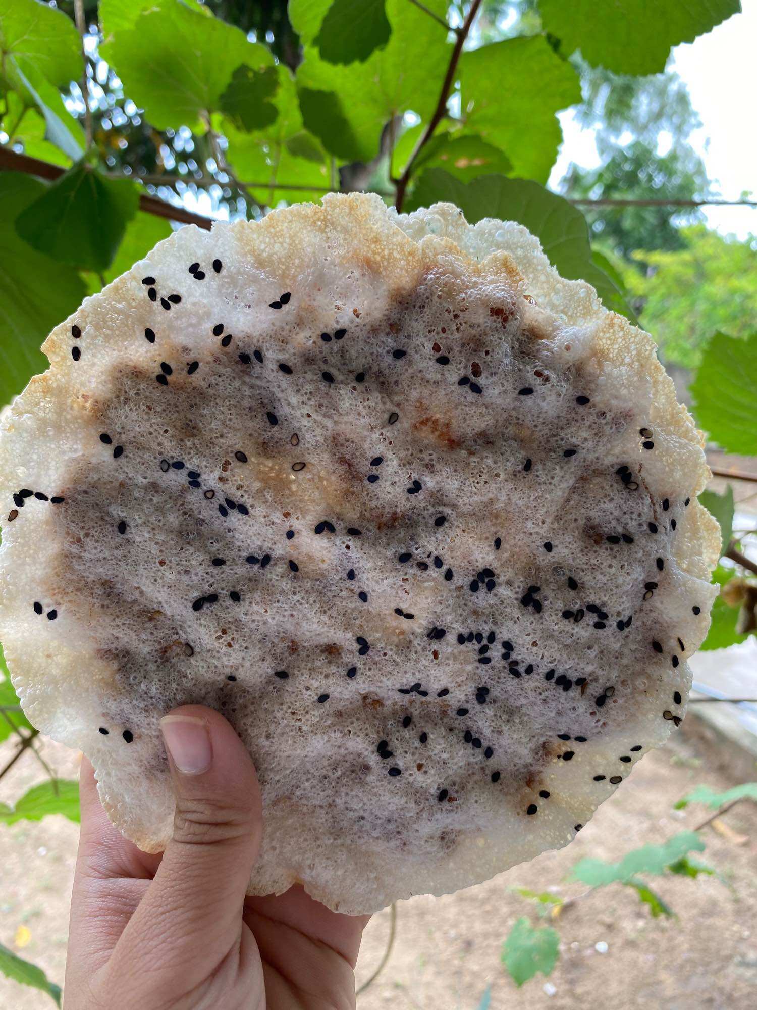 Cu đơ Thư Viện Chính Hiệu - Cu đơ Hà Tĩnh (5 bánh)