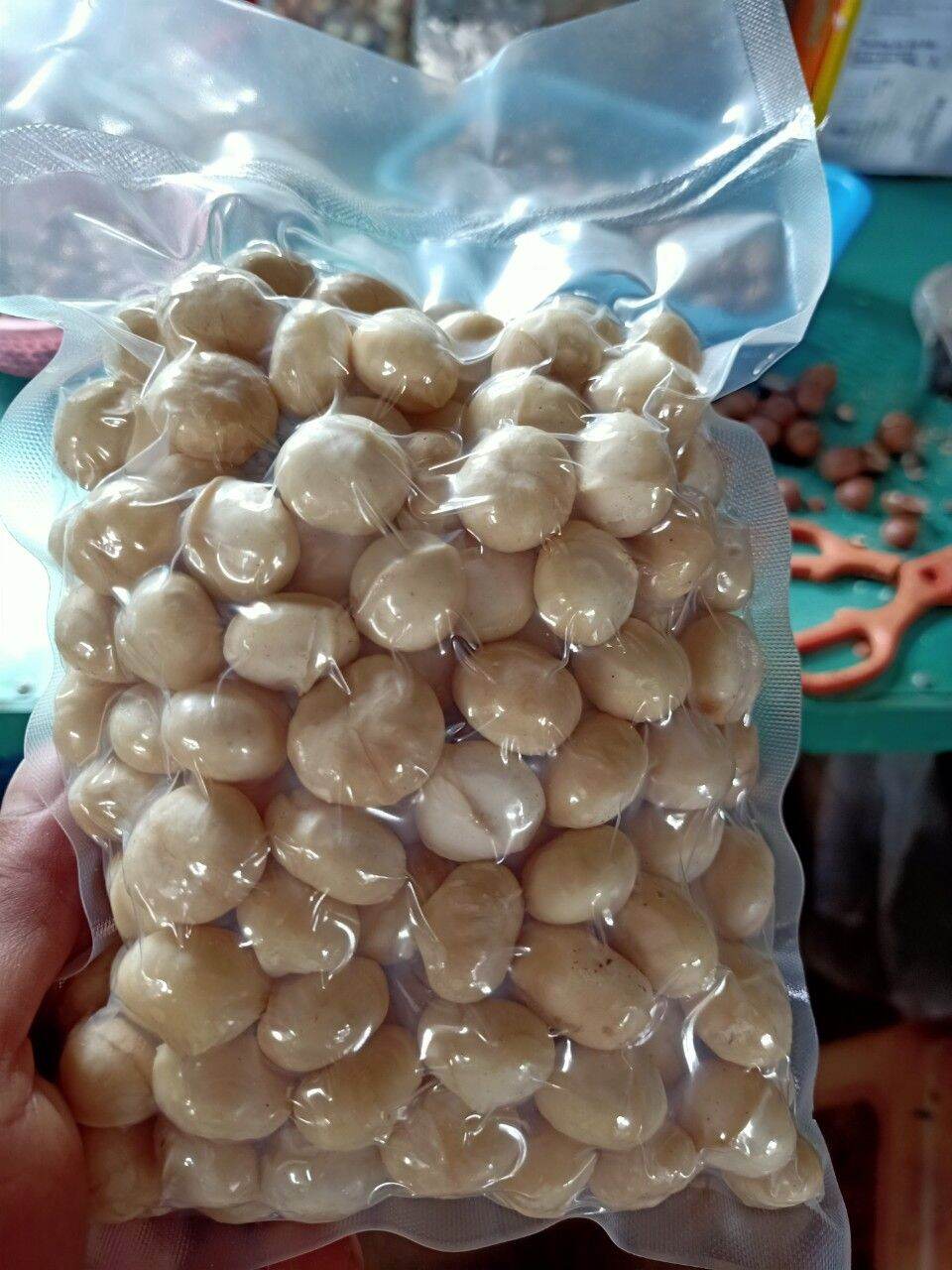 HẠT MACCA SẤY DAKLAK SẤY CHÍN CHUẨN SẠCH (NỨT VỎ)