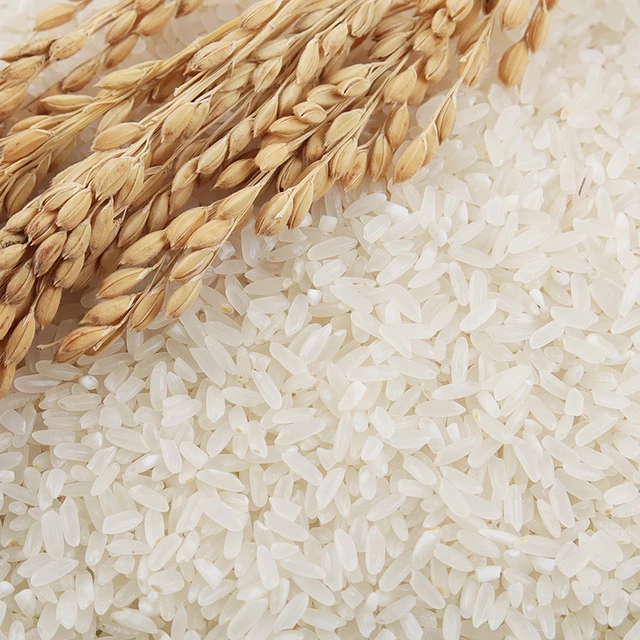 Hạt giống lúa Tám thái đỏ Bảo Minh túi 1kg