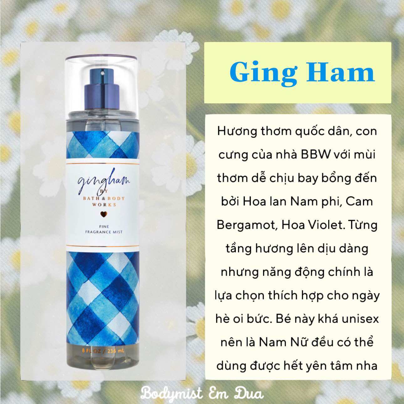 Xịt thơm toàn thân bodymist - mùi hương gingham 236ml - bodymist em dứa