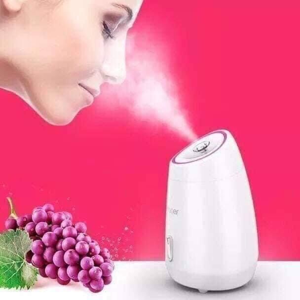 Máy xông mặt hoa quả Maoer