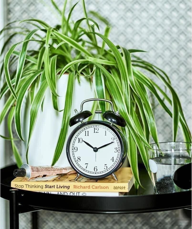 Đồng hồ báo thức hai màu IKEA