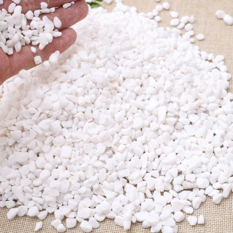 Sỏi trắng trải nền bể thủy sinh, bể cá cảnh