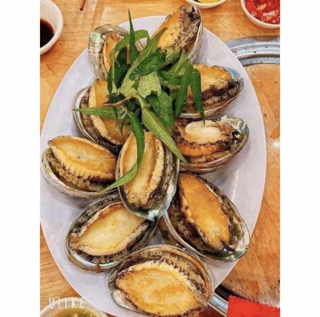 500g bào ngư size 20-22 con/kg (ship hoả tốc hcm)