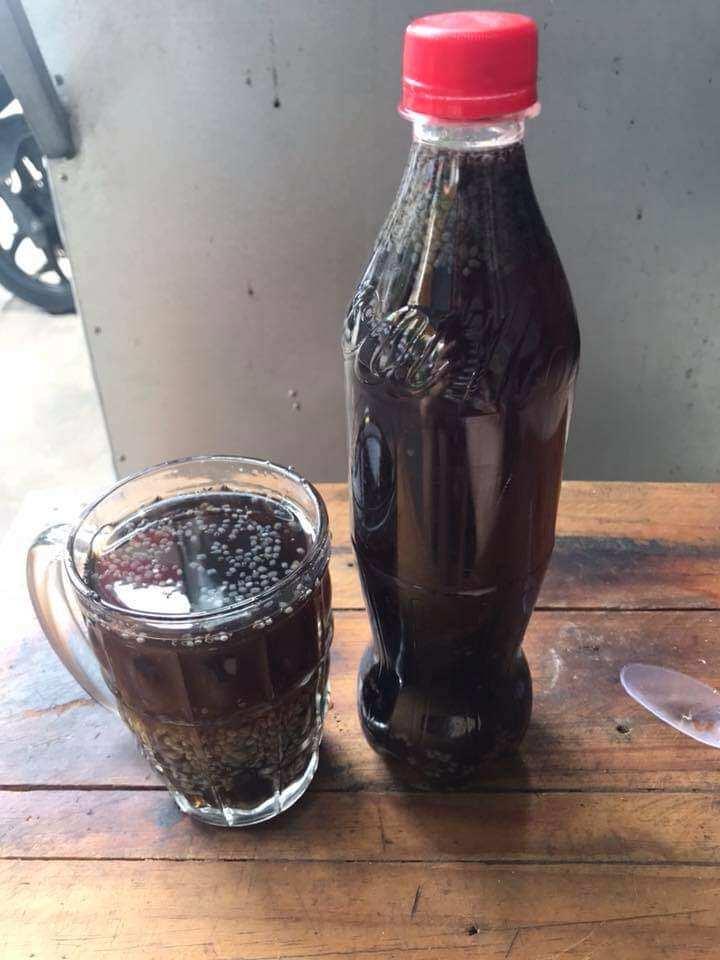 Cốt Sâm Bí Đao Cô Đặc 500 Gram