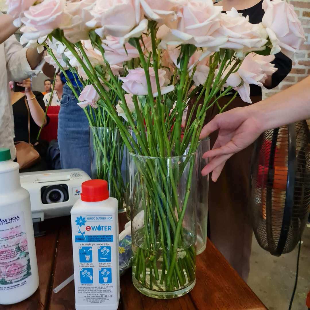 Nước cắm hoa tươi lâu 15 ngày