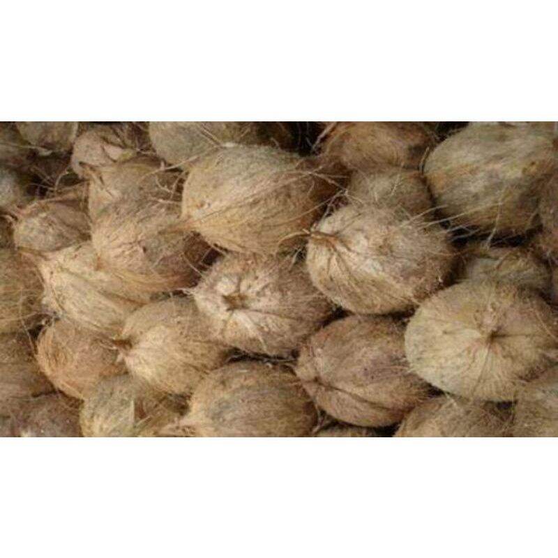 Dừa khô trái dưới 1kg
