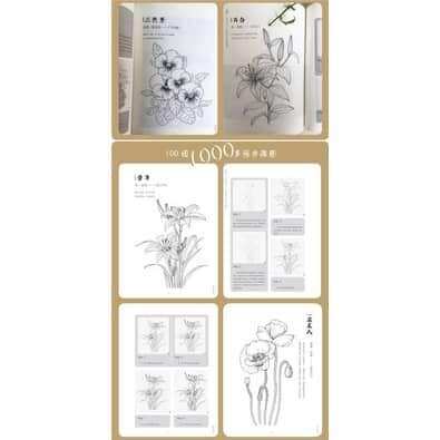 ARTBOOK DẠY VẼ PHÁC THẢO 100 LOÀI HOA