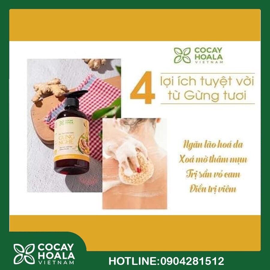 [SỈ 5 CHAI] Sữa tắm thảo dược gừng nghệ 300ml