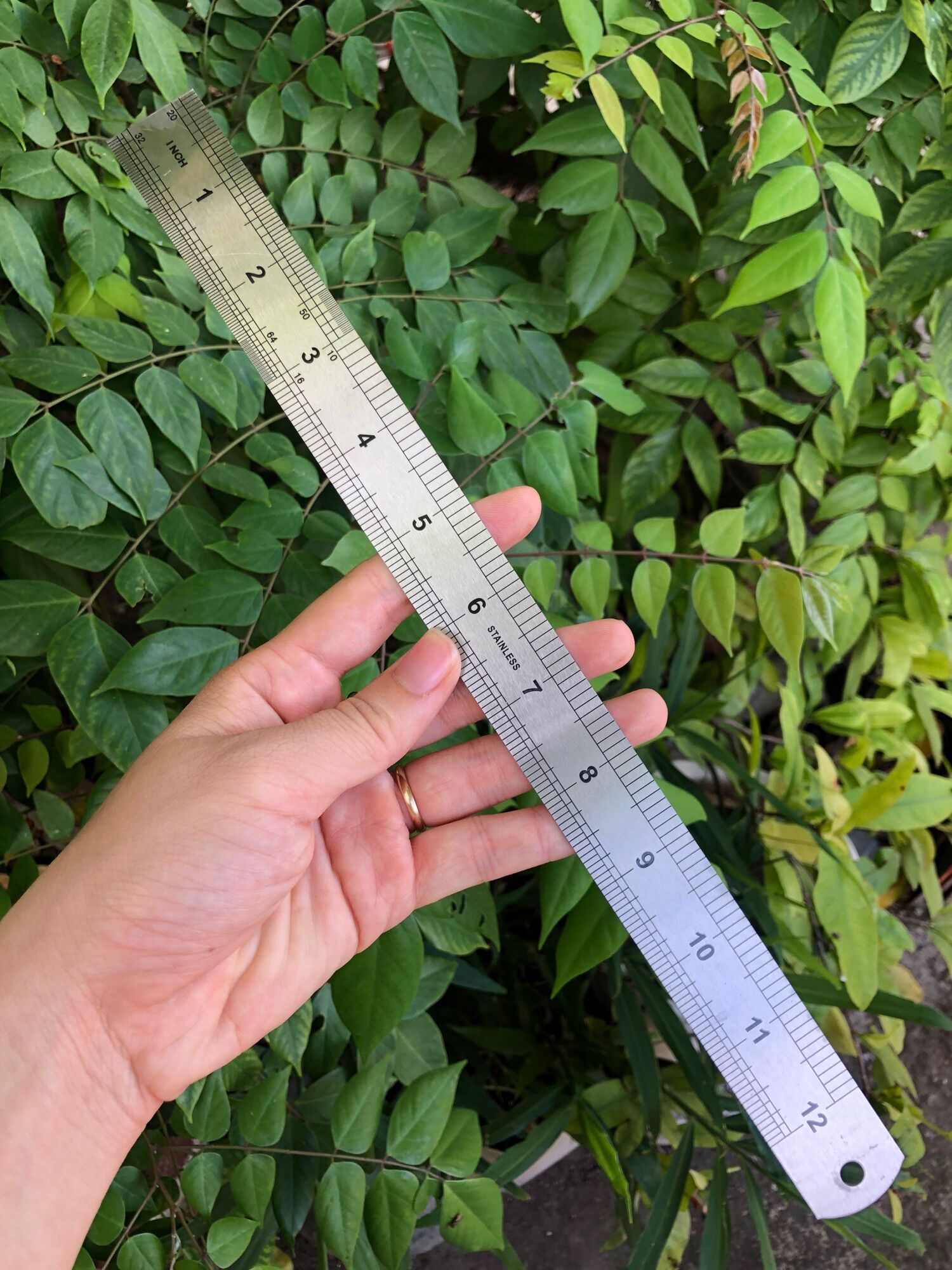 📏Thước lá, thước thẳng 30cm(hàng chuẩn)