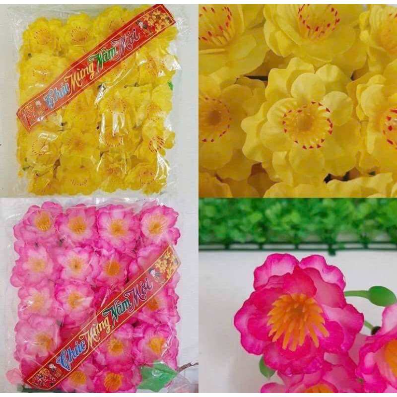 Hoa mai/đào vải (bịch 36 bông)