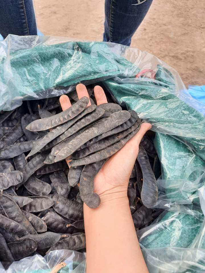 QUẢ BỒ KẾT KHÔ 1KG