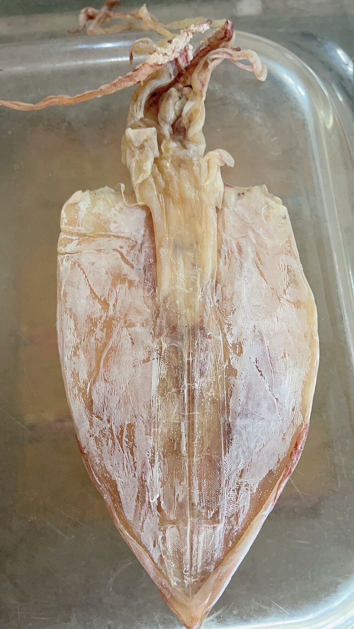 khô mực 20 con 1kg ( 500g giá 470k )