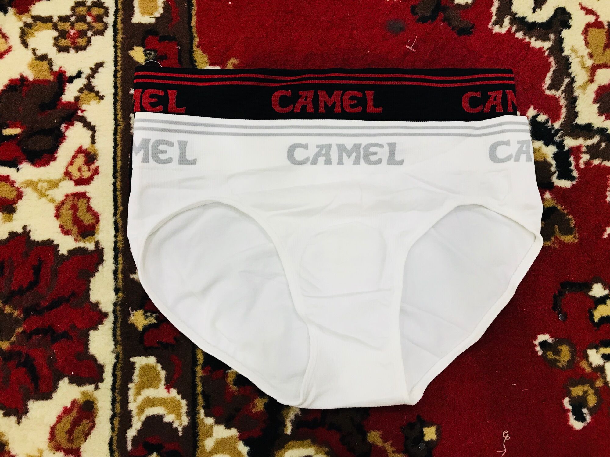 Quần lót nam camel cm-u004