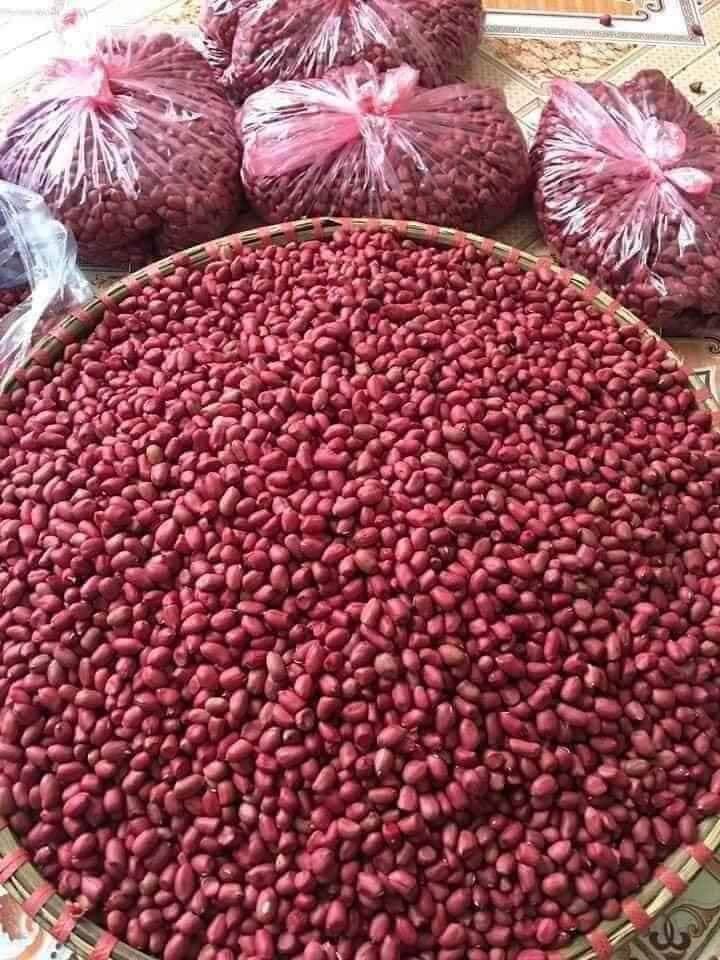 LẠC ĐỎ NHÂN NAM ĐỊNH 1KG