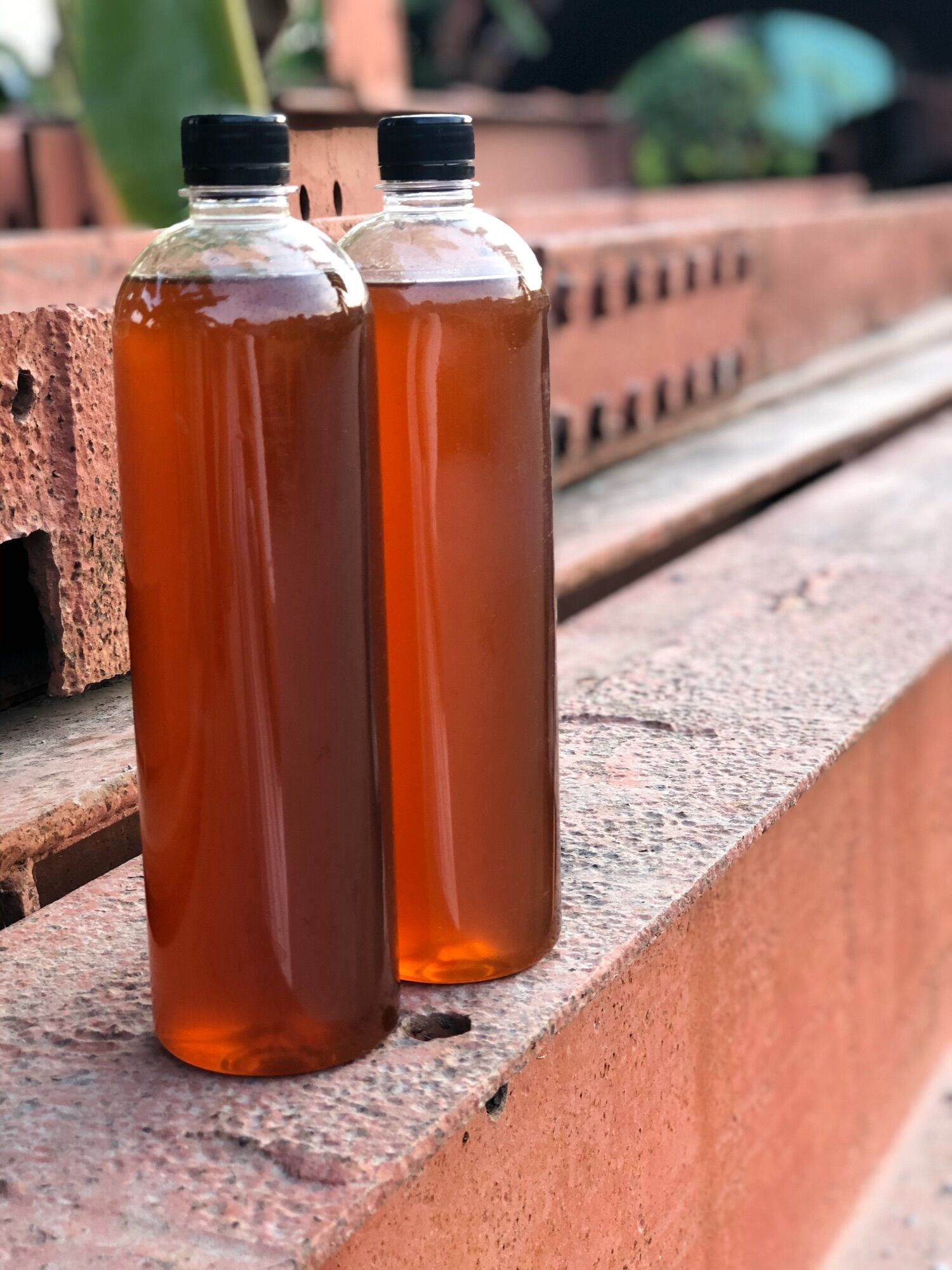 Mật Ong Bảo Lộc Chai Nhựa 1 Lít