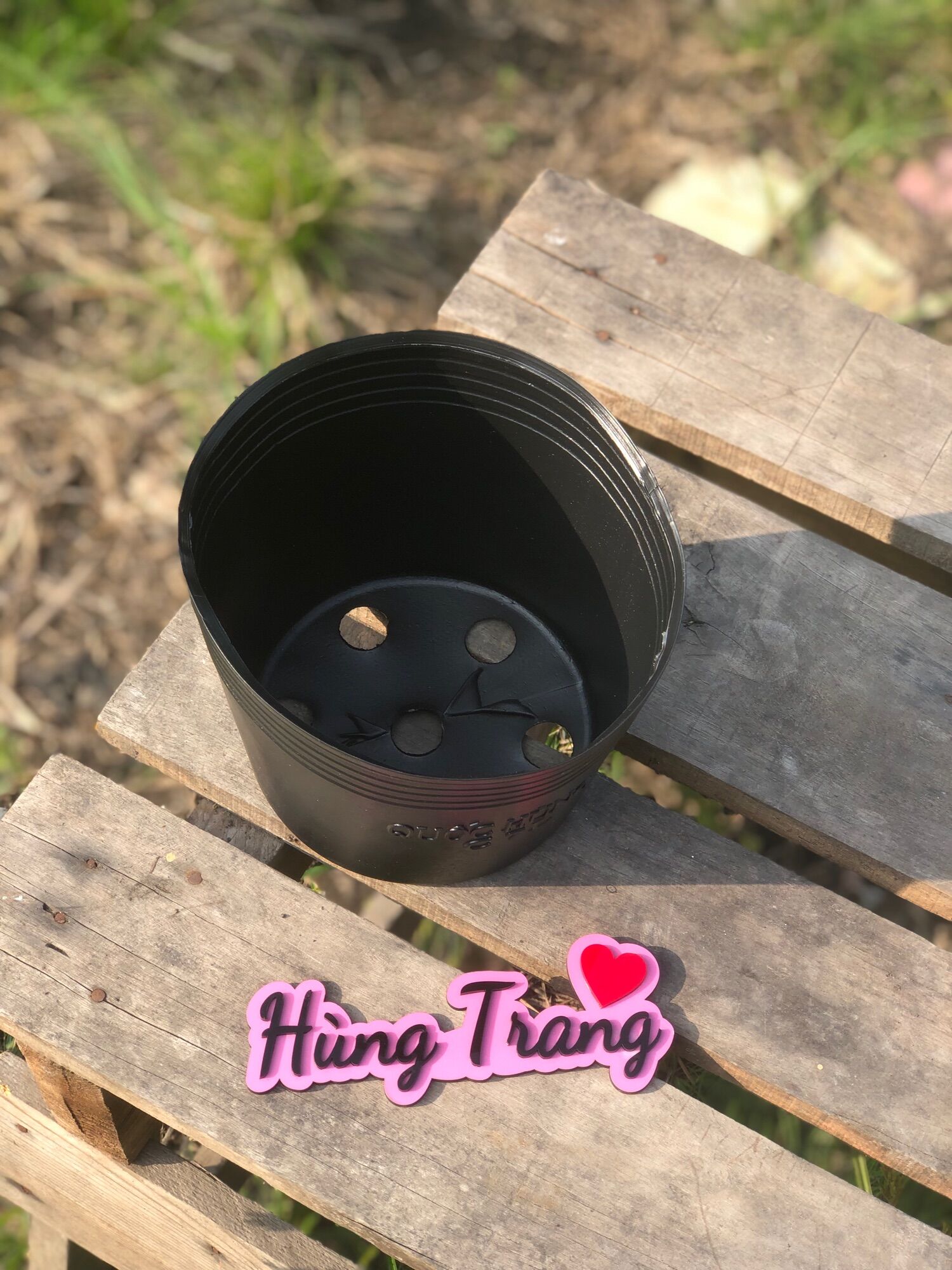 Combo 30 chậu C16 trồng cây