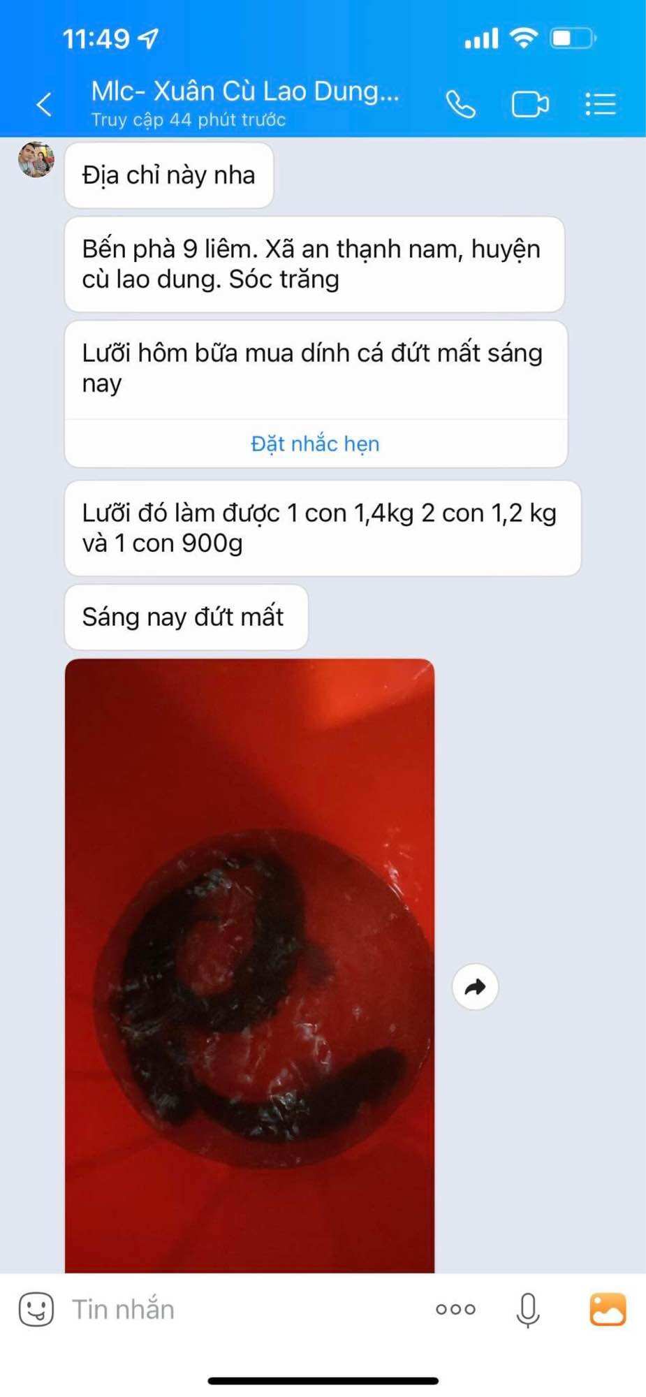 Lưỡi câu lure cá lóc, lưỡi câu nhấp cá lóc_ Số 7