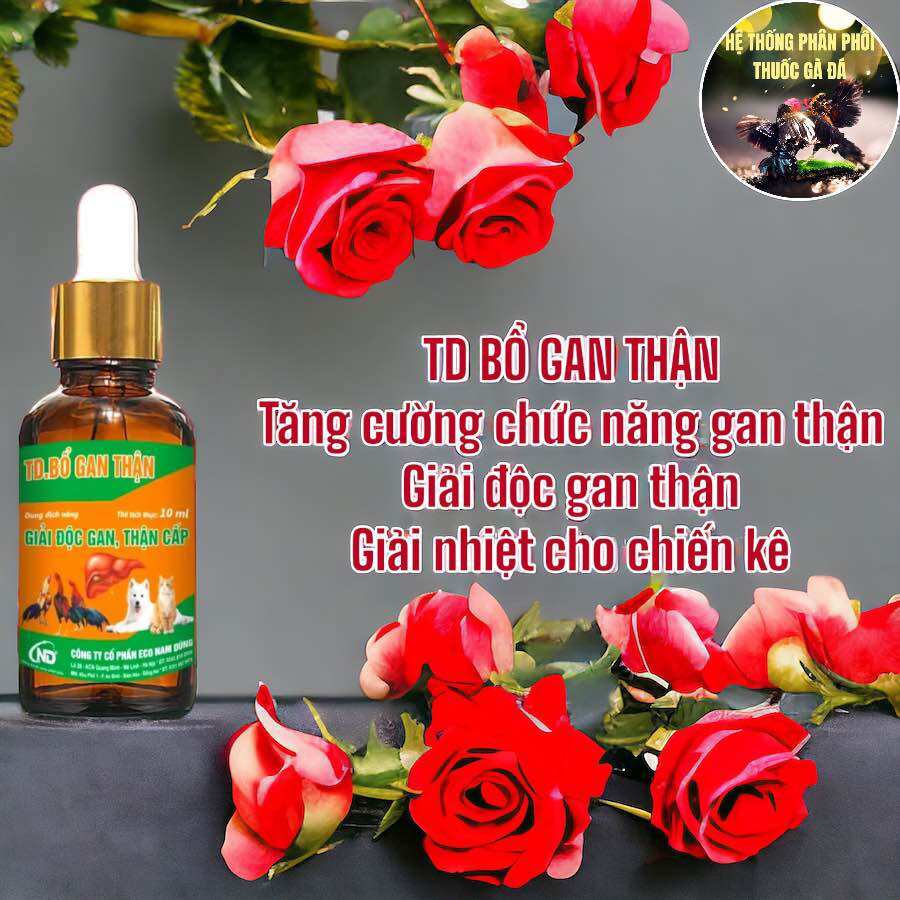Td bổ gan thận giải độc gan thận giải nhiệt cho chiến kê chai 10 ml