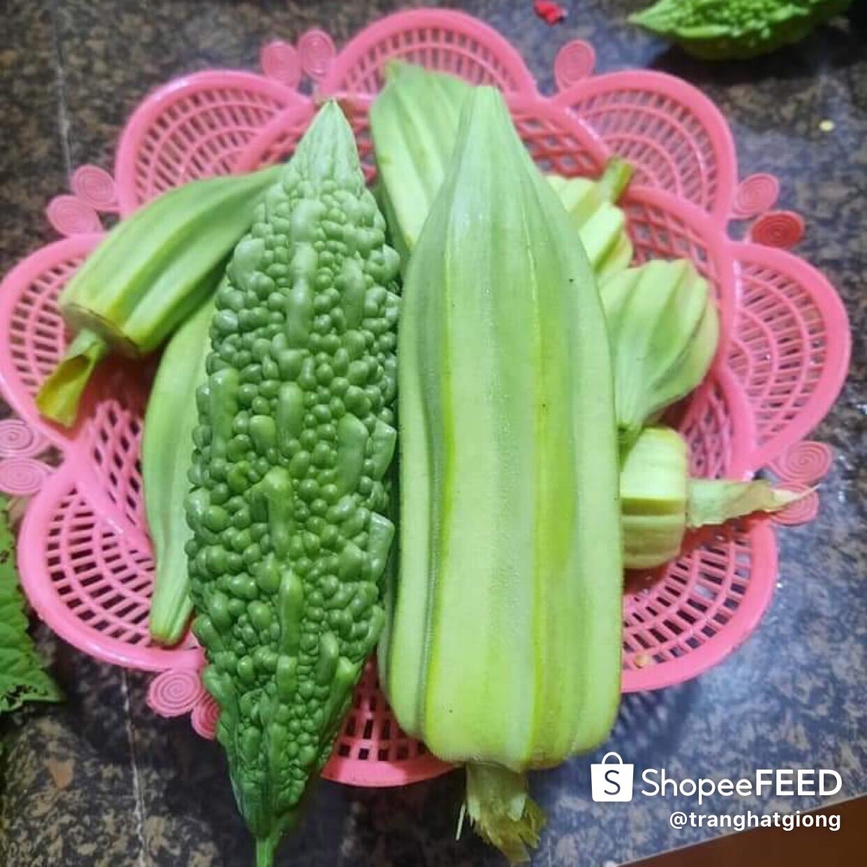 HẠT GIỐNG ĐẬU BẮP KHỔNG LỒ