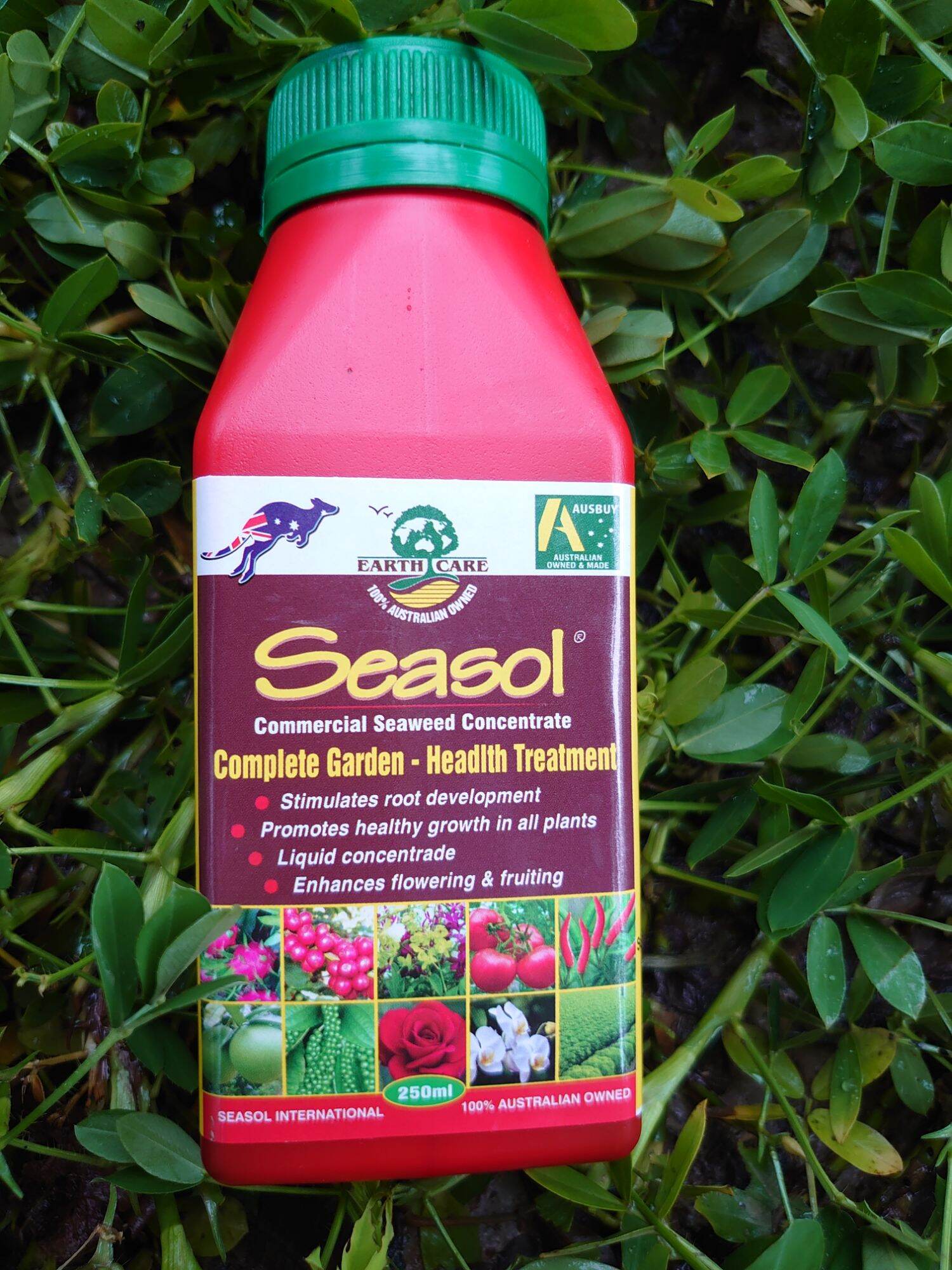 Phân bón lá đa trung vi lượng nhập khẩu từ Australia SEASOL. Tốt rễ-Đẻ nhánh. Chai 250ml
